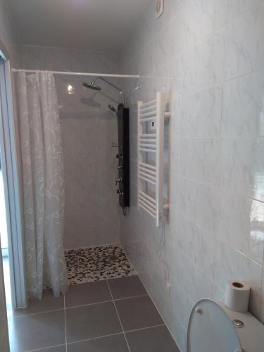 a bathroom with a shower with a toilet and a window at loft At Besset in Besset