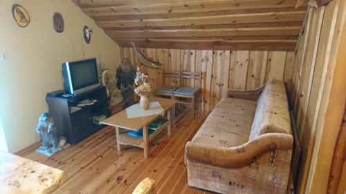 a living room with a couch and a tv at Apartment Kostolic in Gajić