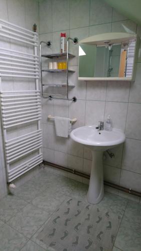 Koupelna v ubytování Apartment Kostolic