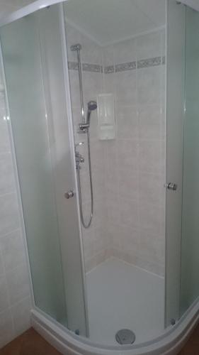 a shower with a glass door in a bathroom at Apartmani Škrnjug in Brzac