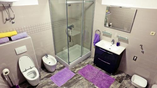 W łazience znajduje się prysznic, toaleta i umywalka. w obiekcie Villa Dubravka w mieście Zavalatica