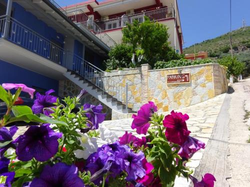 a bunch of purple flowers in front of a building at Elena Rista Studios in Parga