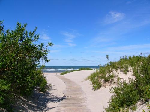 a path through the sand on a beach at Brown Amber in Liepāja