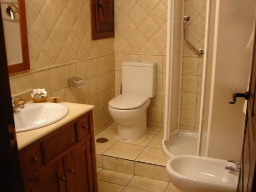 a bathroom with a toilet and a sink and a shower at Posada Los Templarios in Ucero