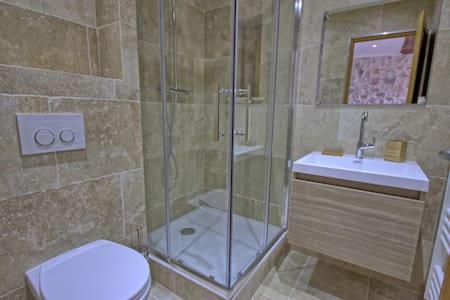アンティーブにある302-Appartement de Caractère vieil Antibesのバスルーム(シャワー、トイレ、シンク付)