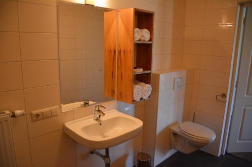 La salle de bains est pourvue d'un lavabo et de toilettes. dans l'établissement 2 persoons appartement, à Heeze