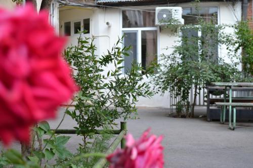 Tbilisi Apartment 2にある庭