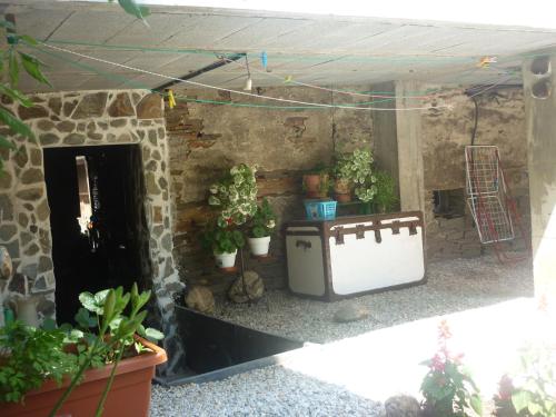 a room with potted plants and a fireplace at Pensión Santa Rosa in Samos