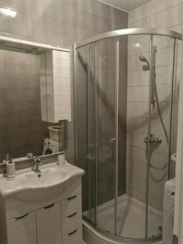 a bathroom with a shower and a sink at Malik's place in Novalja