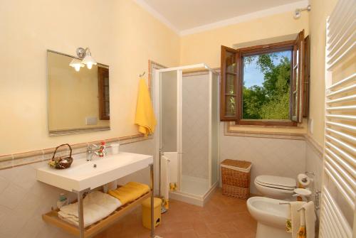 a bathroom with a sink and a toilet and a mirror at Podere SantaAdele in Montepulciano