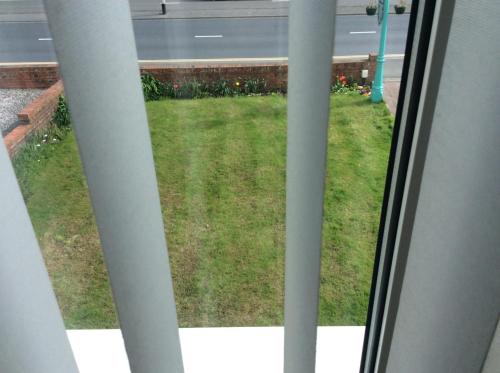 a view from a window of a yard of grass at Alma Lodge Guest House in Plymouth