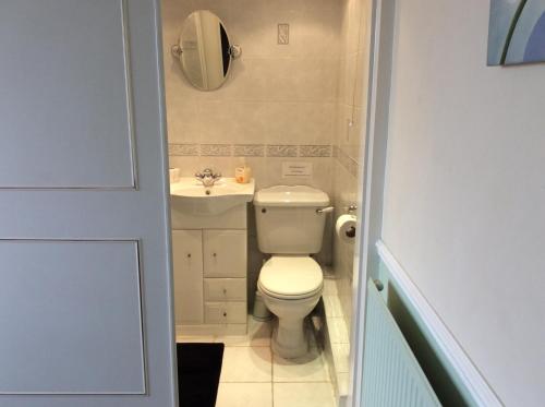 a small bathroom with a toilet and a sink at Alma Lodge Guest House in Plymouth
