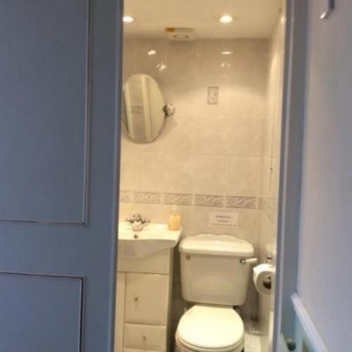 a bathroom with a white toilet and a sink at Alma Lodge Guest House in Plymouth