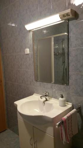 Koupelna v ubytování Apartmaji Mežan
