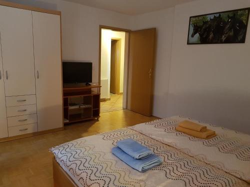 TV a/nebo společenská místnost v ubytování Apartmaji Mežan