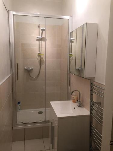 een badkamer met een douche en een wastafel bij Scotstoun Appartments in Glasgow