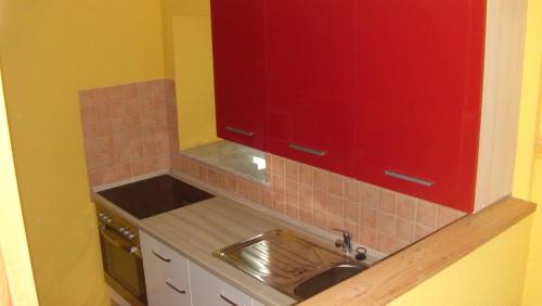 cocina con fregadero y armario rojo en Ferienwohnung Eulitz, en Peickwitz