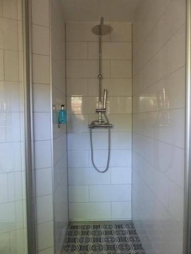 a shower with a glass door with a shower head at Feine Laube in Berlin