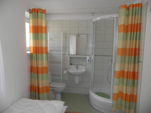 ein Bad mit einer Dusche, einem WC und einem Waschbecken in der Unterkunft Dom v Záhrade in Podhájska