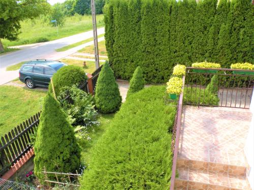 a garden with bushes and a car parked in a driveway at Pokoje Żabi Staw in Mikołajki