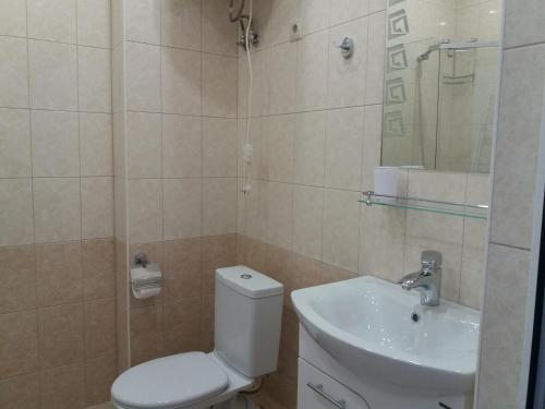 アドレルにあるApartments on Belorusskaya 20のバスルーム(トイレ、洗面台付)