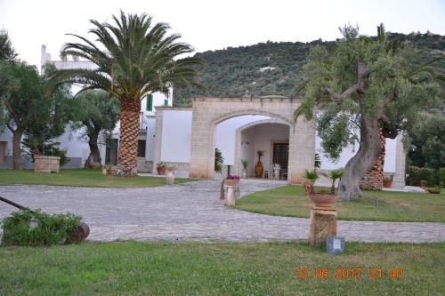 a house with palm trees and a stone driveway at Masseria Fragnale in Fasano
