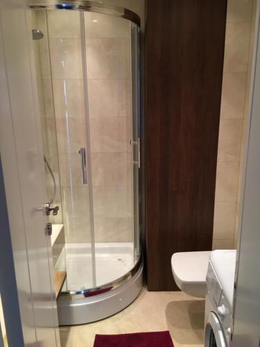a bathroom with a shower and a toilet at Squere 44 Apartment in Budva