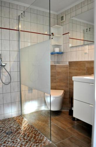 a bathroom with a shower and a toilet and a sink at Ferienhaus Ostseebrise Usedom im Grünen familienfreundlich ruhig Parkplatz Terrasse Kamin in Karlshagen