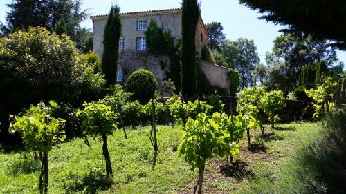 Gallery image of La Ferme de Jeanne in Saint-Girons