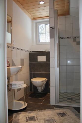 a bathroom with a toilet and a sink and a shower at Familien & Wander-Pension Purkhardt in Donnersbachwald