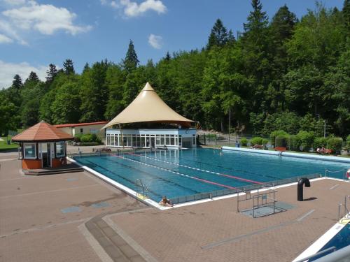 a large swimming pool with a gazebo next to it at Ferienwohnung Bradsch in Ilmenau