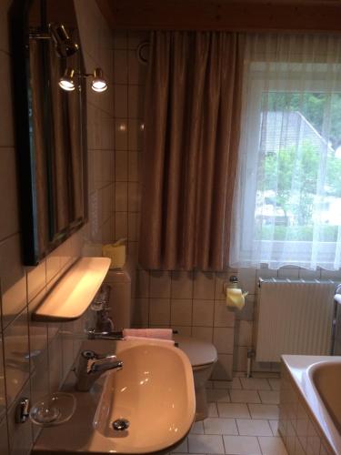 a bathroom with a sink and a toilet and a window at Landhof Aigner in Mittersill