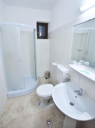 a bathroom with a shower and a toilet and a sink at Camves Inn in Sighetu Marmaţiei