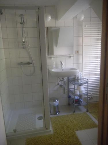 ein Bad mit einer Dusche und einem Waschbecken in der Unterkunft Verreveld in Londerzeel