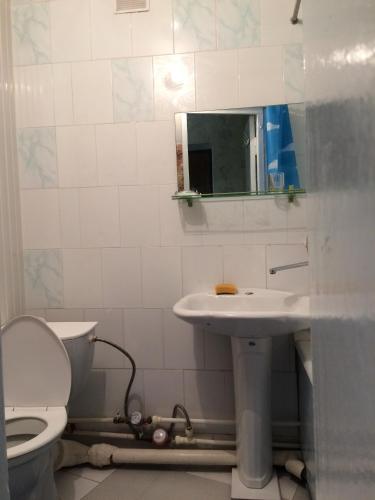 ジェレスノヴォツクにあるАпартаменты на Чапаева 24のバスルーム(トイレ、洗面台、鏡付)