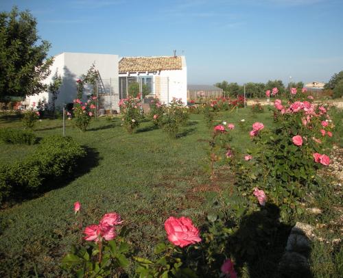 a field of pink roses in front of a building at Casa vacanze La Meridiana in Donnalucata