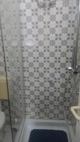 a bathroom with a shower with a glass door at Apartments Prisnac in Pakoštane