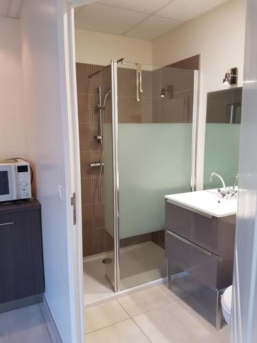 a bathroom with a shower and a sink at Casa Inde Noi in Corte