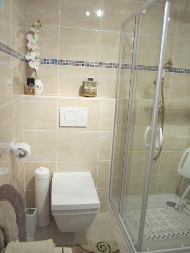 une salle de bain avec toilettes et douche en verre dans l'établissement Studio les murs, à Vence