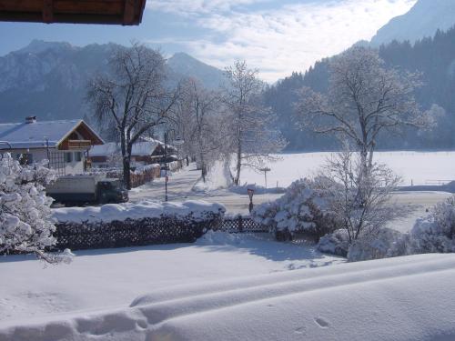a snow covered yard with trees and a house at Hotel Kleiner König in Schwangau