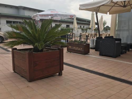 a potted plant in a wooden box on a patio at Rosso Di Sera in Citta' Sant'Angelo