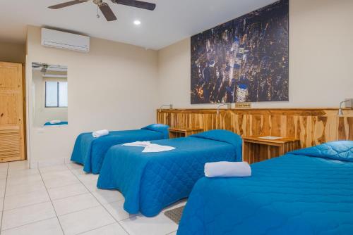 a room with three blue beds and a classroom at Hotel Los Chilamates in Granada