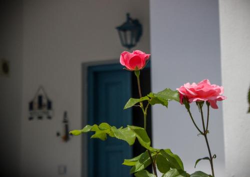 two roses in a vase in front of a blue door at Athena's Studios in Polykhrono