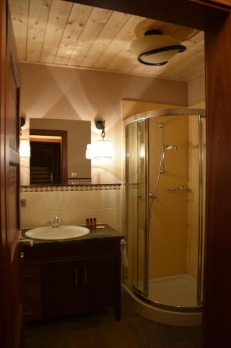 a bathroom with a shower and a sink at Chalet Caprea in Bad Kleinkirchheim