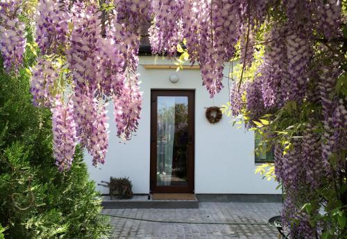 a white house with purple flowers in front of it at Garden House in Timişoara