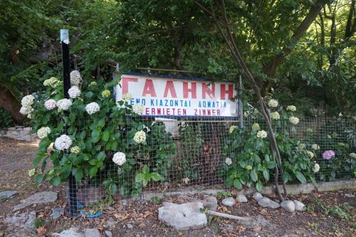 Gallery image of Galini Samothraki in Therma