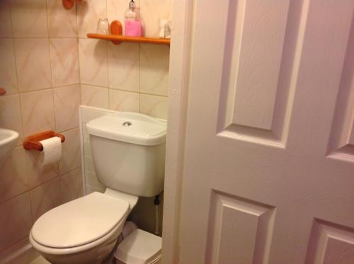 a bathroom with a white toilet and a sink at Sherwood Lodge in Skegness