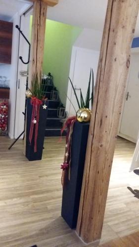 three potted plants sitting on the floor in a room at Restaurant Blume in St. Gallen