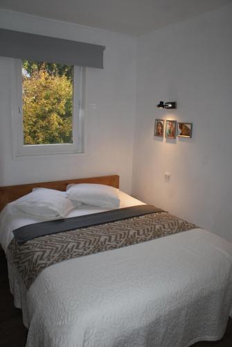 une chambre avec un grand lit avec une fenêtre dans l'établissement Champalo, à Chamonix-Mont-Blanc