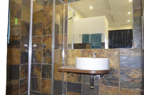 een badkamer met een wastafel en een douche bij Birrea Guest house in Polokwane
